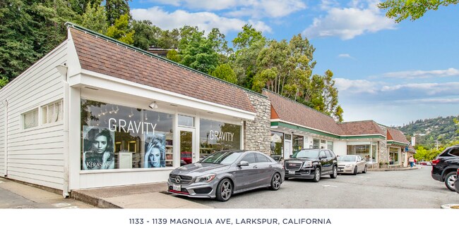 Plus de détails pour 1133-1139 Magnolia Ave, Larkspur, CA - Commerce de détail à vendre