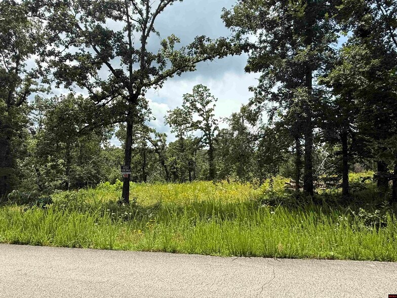 Lot 18 Rustic Ridge Dr, Mountain Home, AR à vendre - Photo du bâtiment - Image 2 de 10