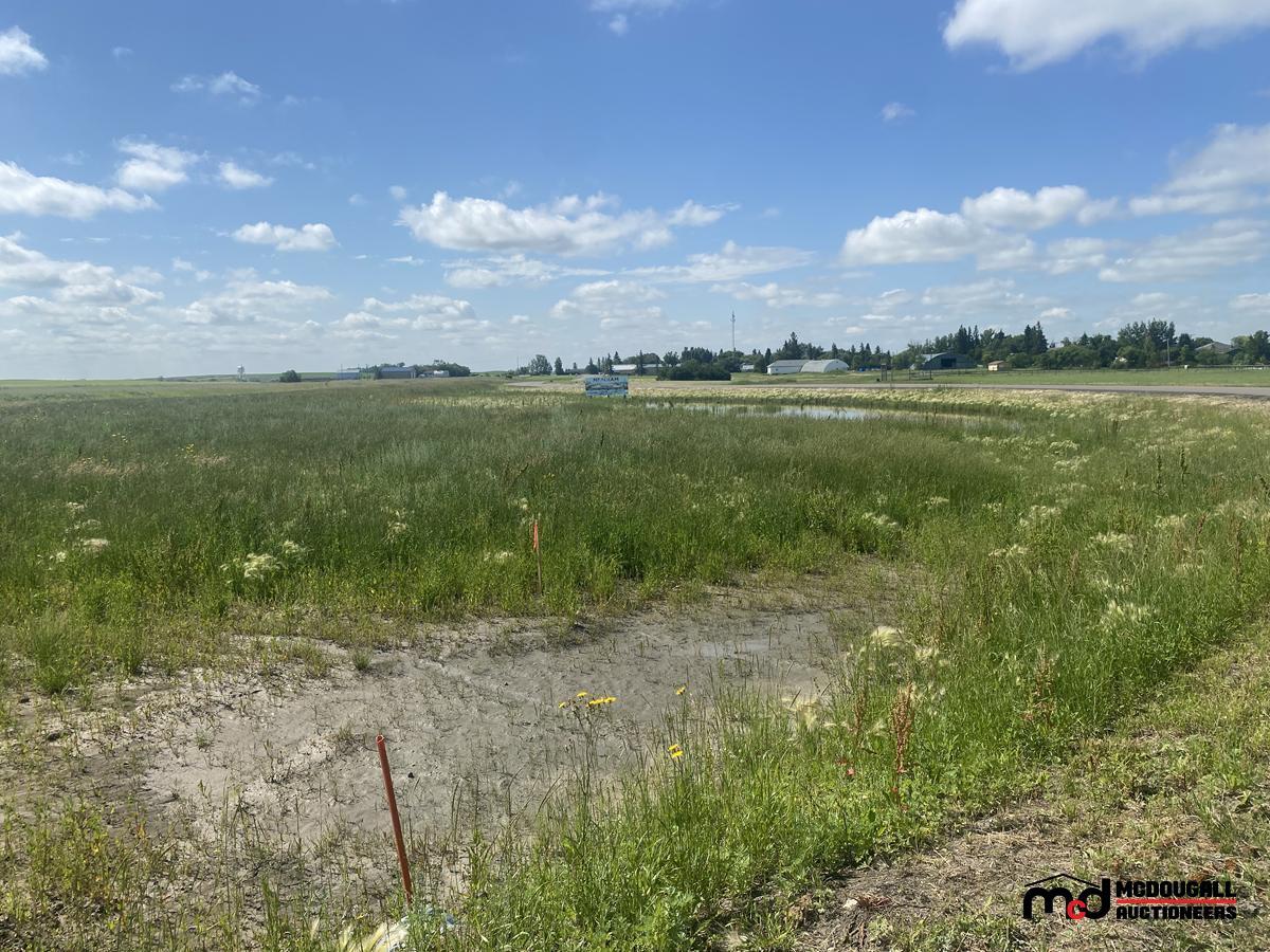 125 Railway Ave, Meacham, SK à vendre Photo principale- Image 1 de 18