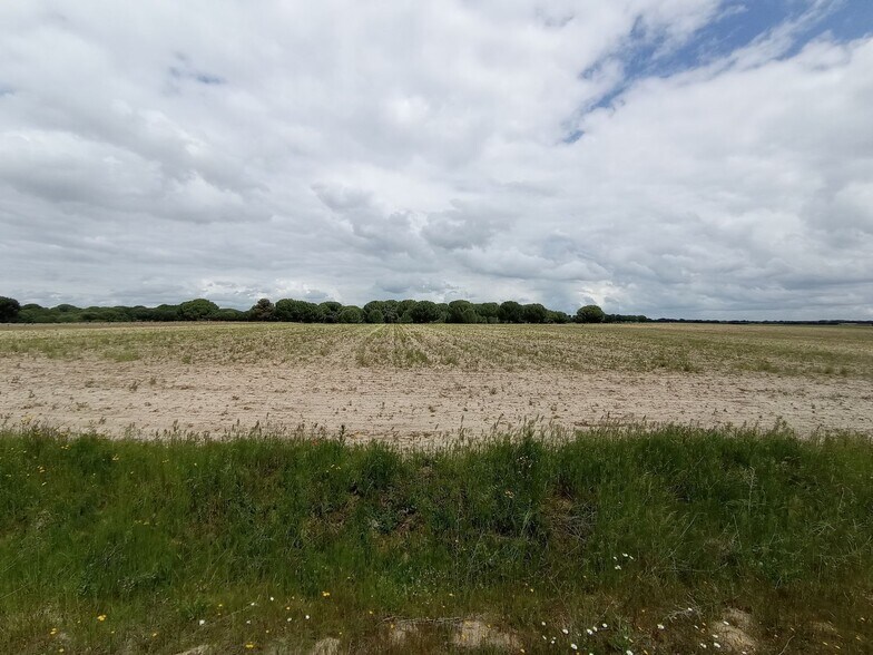 Parcela, 231, Matapozuelos, Valladolid for sale - Primary Photo - Image 2 of 19