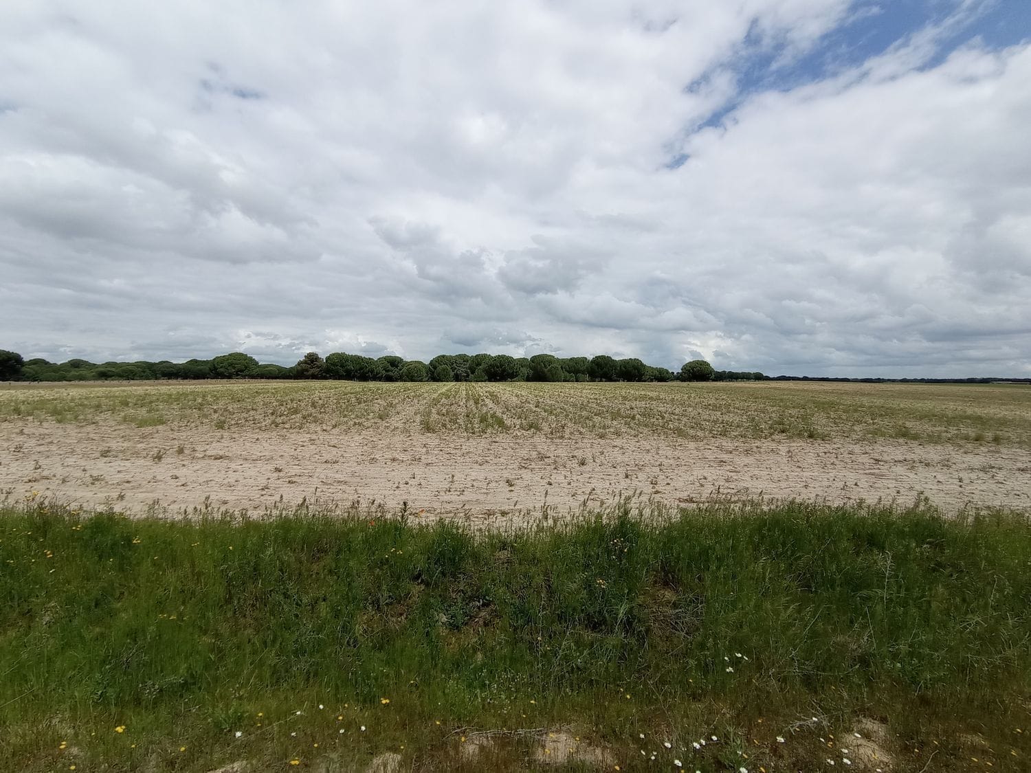 Parcela, 231, Matapozuelos, Valladolid for sale Primary Photo- Image 1 of 20