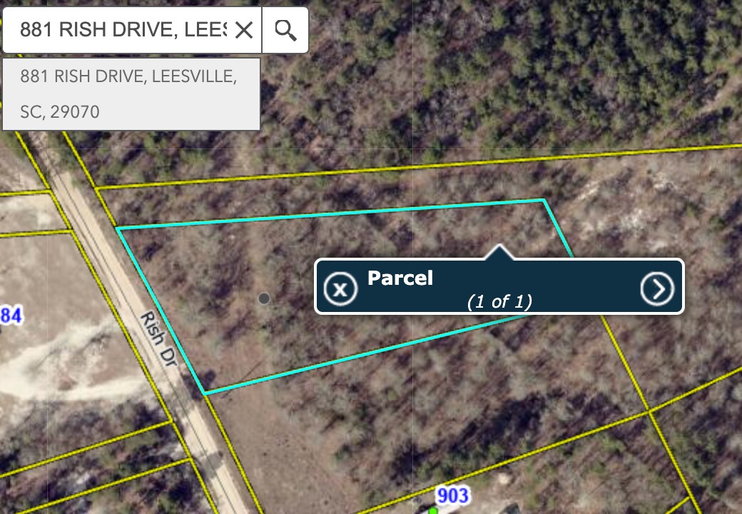 881 Rish dr, Leesville, SC à vendre Photo principale- Image 1 de 2