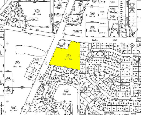 198 Alt 19, Palm Harbor, FL à vendre - Plan cadastral - Image 1 de 1