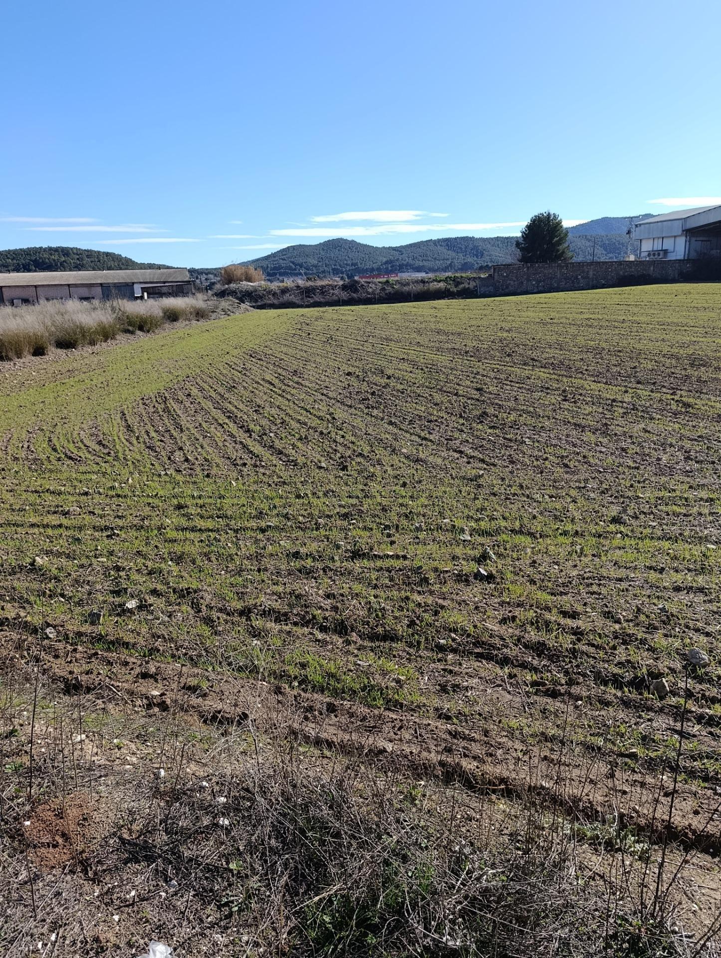 Land in Cehegín for sale Site Plan- Image 1 of 10