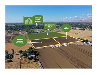 Plus de détails pour 342 Olive Ave, Patterson, CA - Terrain à vendre