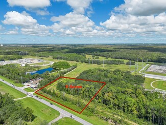 Plus de détails pour 0 Osceola Polk Line Rd, Davenport, FL - Terrain à vendre