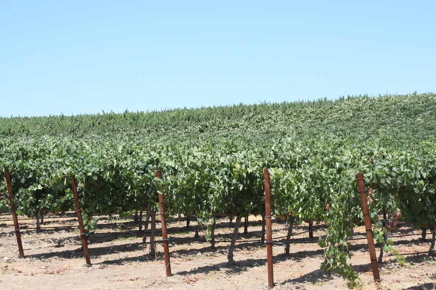 Texas Rd, Paso Robles, CA à vendre - Photo du bâtiment - Image 2 de 9