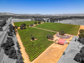 High-Yield Vineyard for Sale in Lakeport, CA - Vignoble