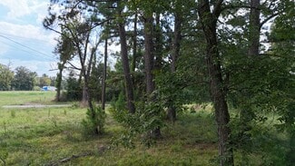 Plus de détails pour 4769 US-59, Livingston, TX - Terrain à vendre