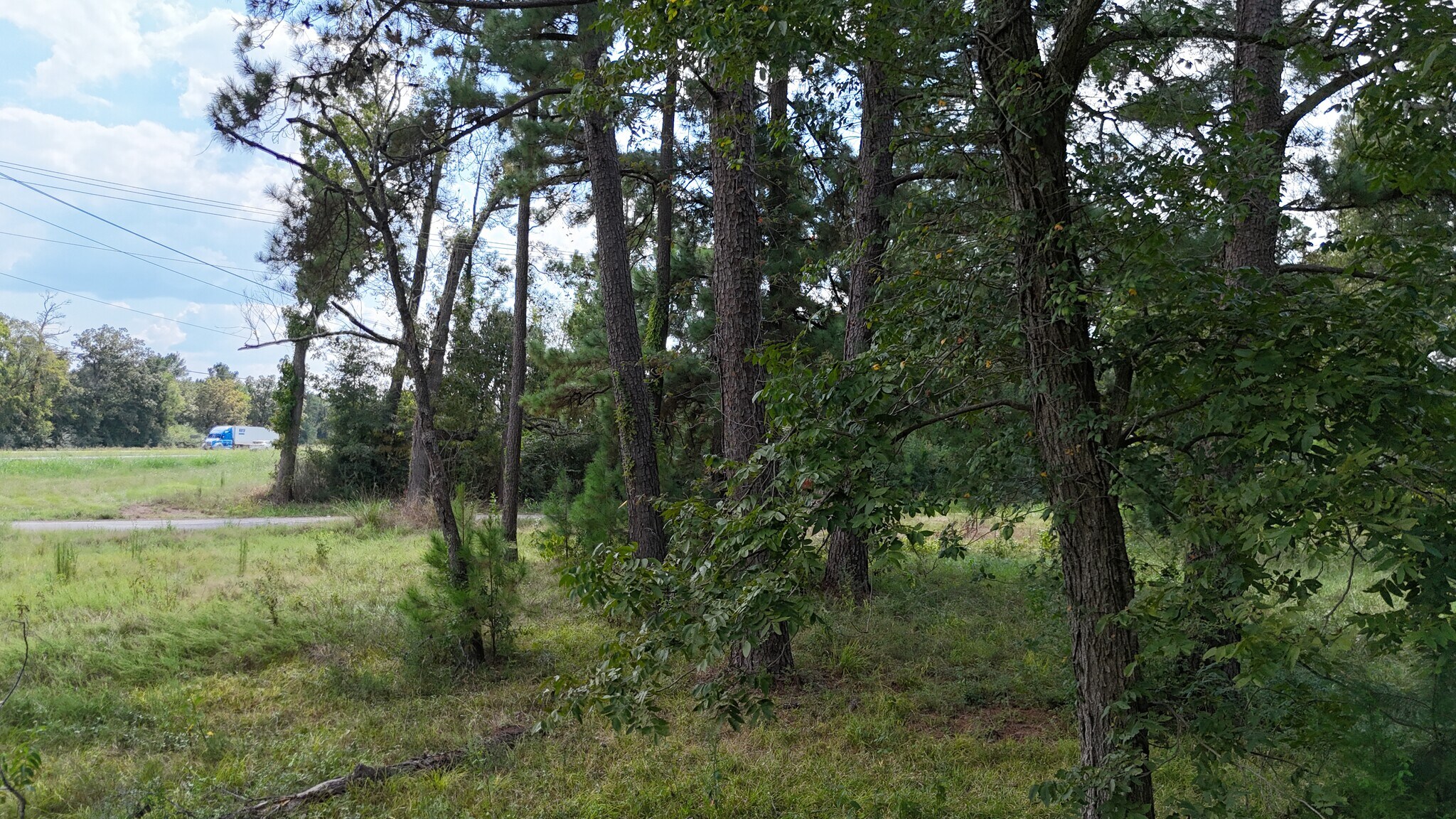 4769 US-59, Livingston, TX à vendre Photo principale- Image 1 de 11