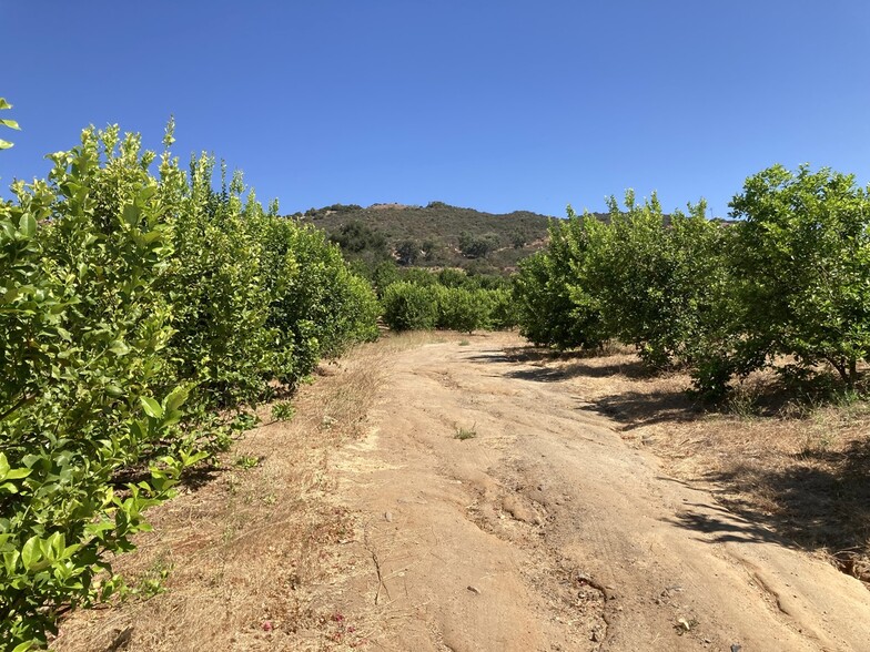 CARANCHO Rd, Temecula, CA à vendre - Photo du bâtiment - Image 3 de 8