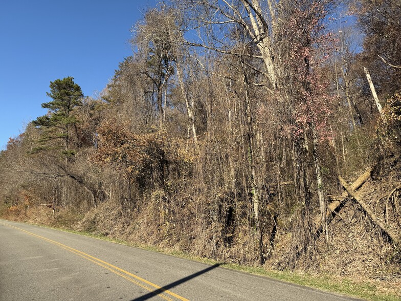 Whitepath Rd, Ellijay, GA for sale - Building Photo - Image 2 of 3