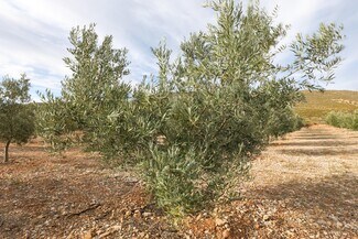 Plus de détails pour Cijancos, 1-1, Villamena - Terrain à vendre