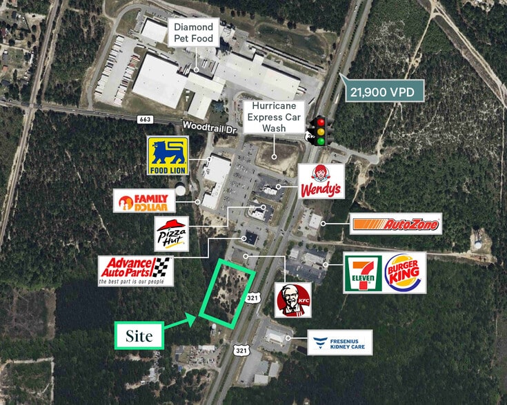 Hwy 321, Gaston, SC for sale - Building Photo - Image 1 of 8