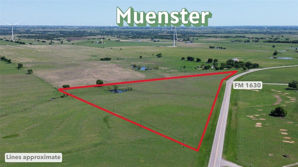 17.5ac TBD FM 1630, Muenster, TX à vendre - Photo principale - Image 1 de 9