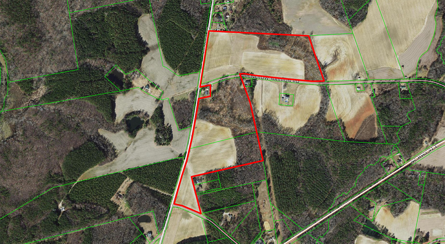 North Carolina 39, Selma, NC for sale Aerial- Image 1 of 2