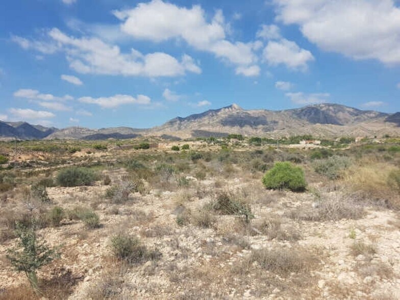 Cinco-El Moco, Albatera, Alicante for sale - Primary Photo - Image 2 of 17
