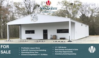 Plus de détails pour 2262 Waynesboro Hwy, Hiltonia, GA - Commerce de détail à vendre
