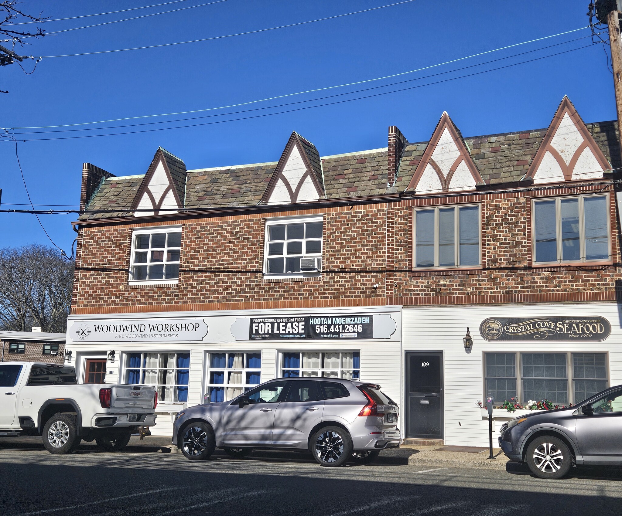 111-113 S Tyson Ave, Floral Park, NY for lease Building Photo- Image 1 of 19