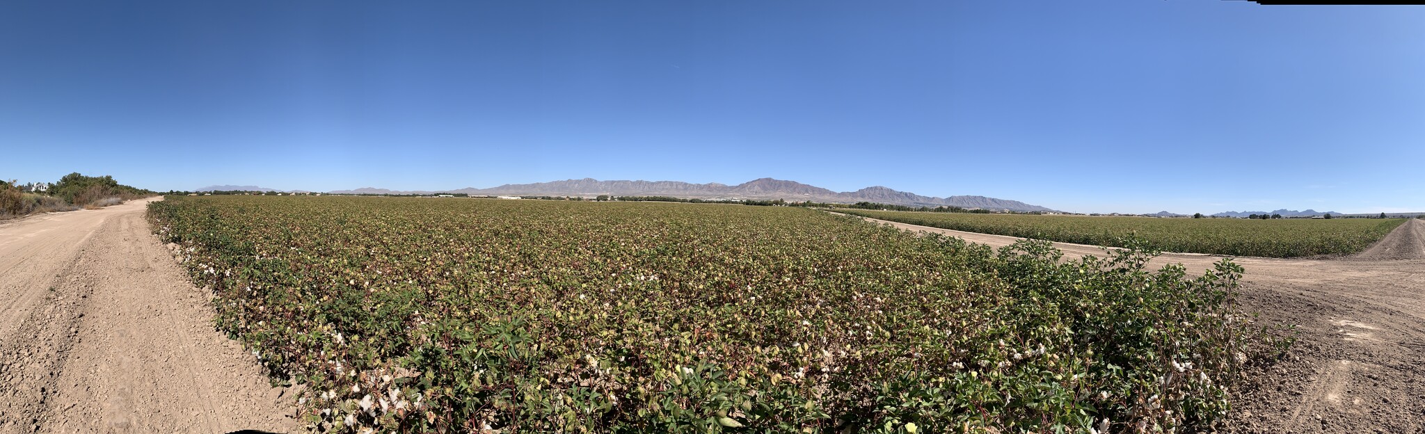 000 Borderland, El Paso, TX for sale Other- Image 1 of 1