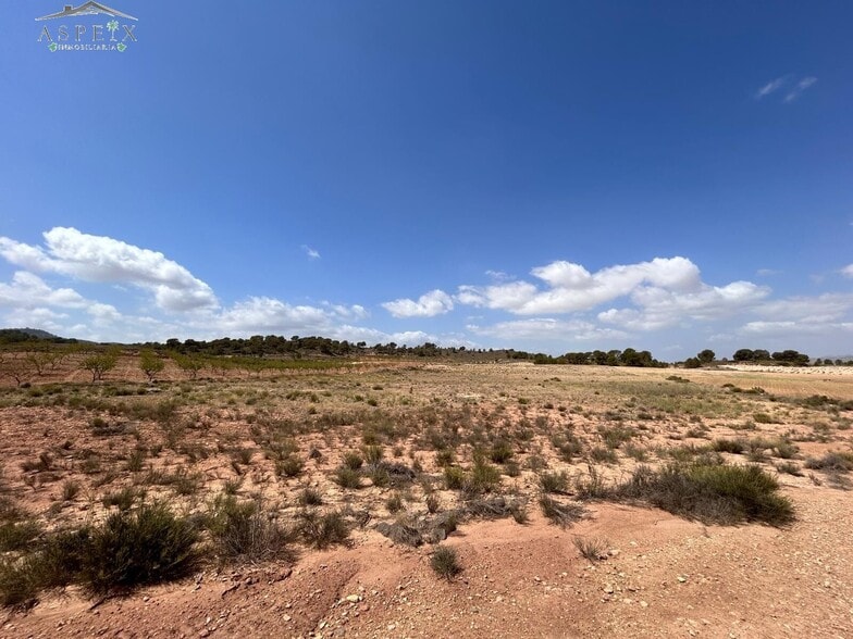 Terrain dans Jumilla, Murcia à vendre - Aérien - Image 2 de 5