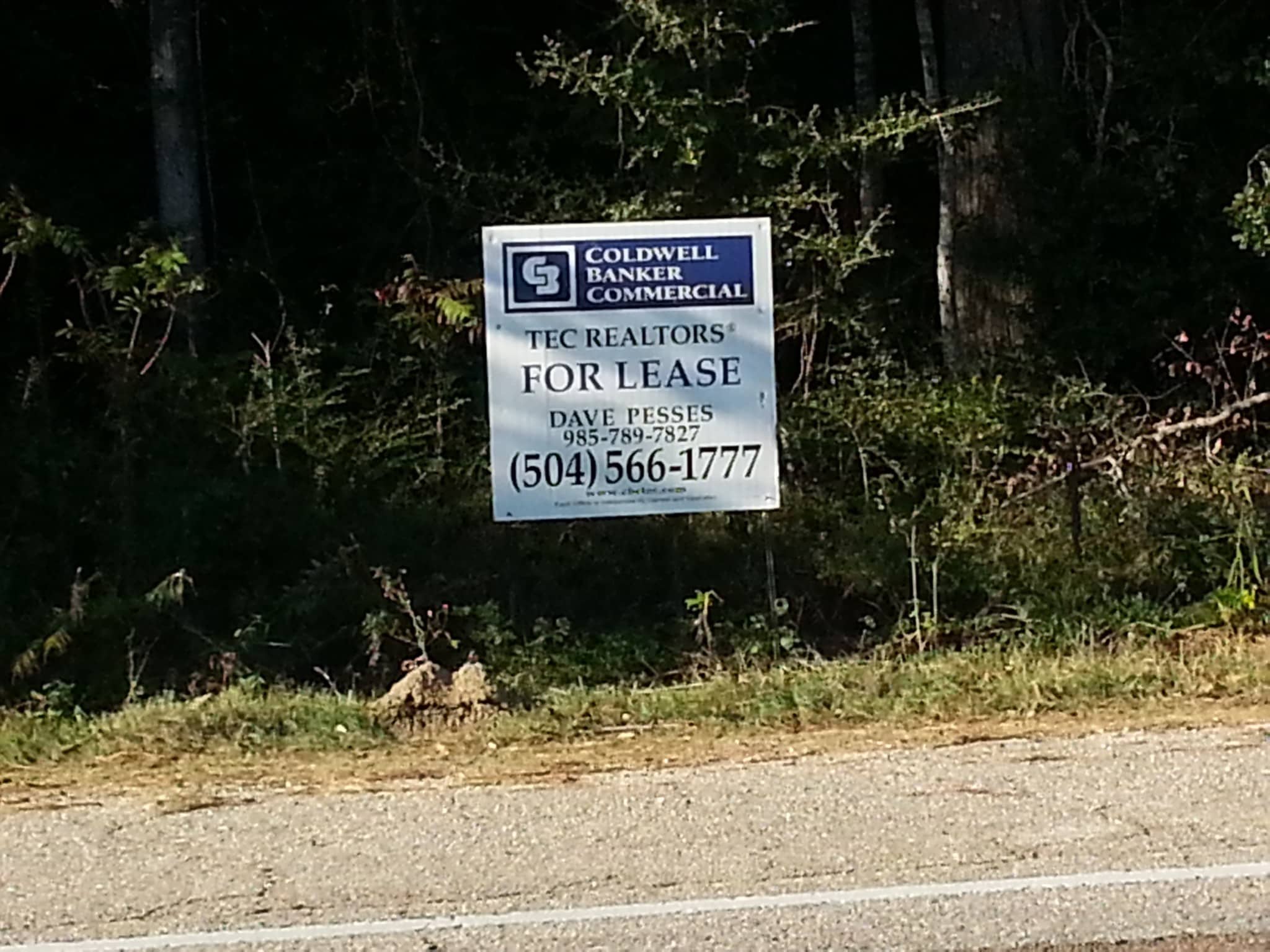 Hwy 190 and Hwy 22, Mandeville, LA for lease Primary Photo- Image 1 of 7