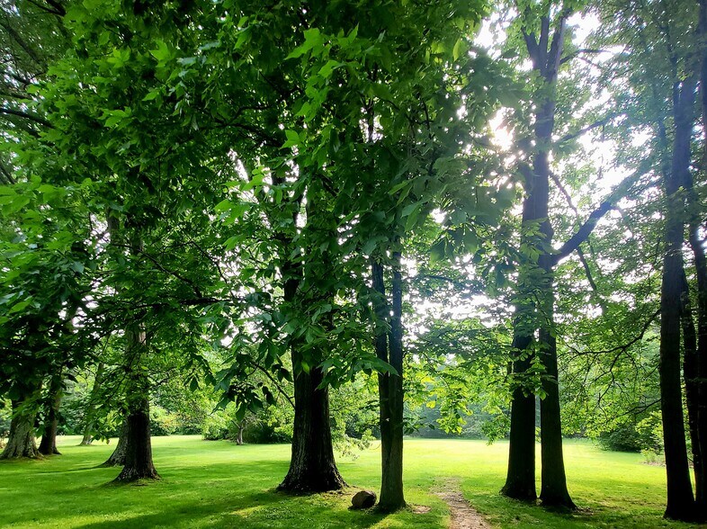 9567 Market St, North Lima, OH à vendre - Autre - Image 2 de 4