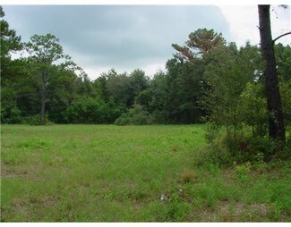 Plus de détails pour 15200 US 49, Gulfport, MS - Terrain à vendre
