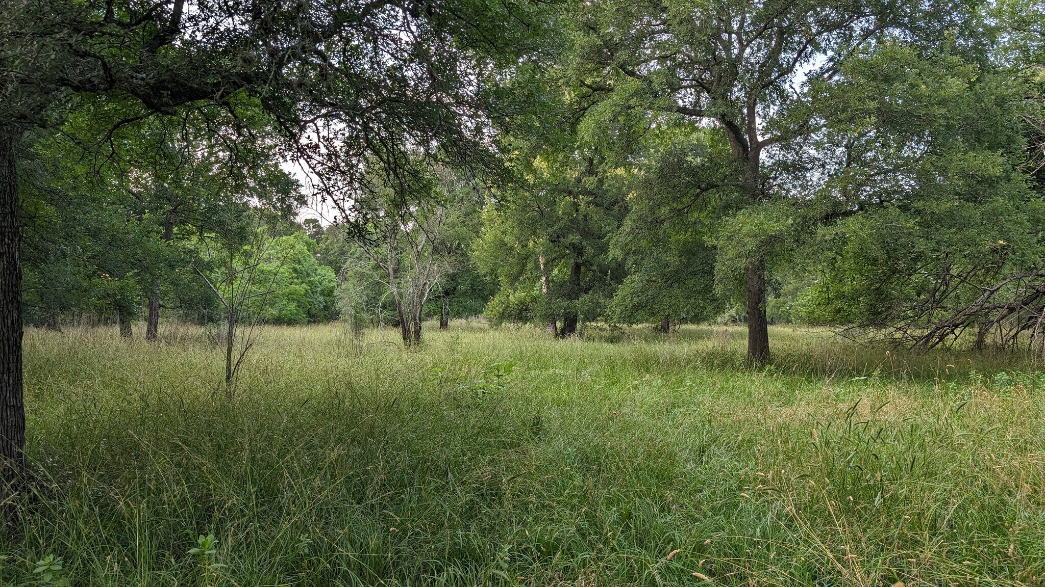 0000 I-69 Fwy, Hungerford, TX for sale Primary Photo- Image 1 of 15