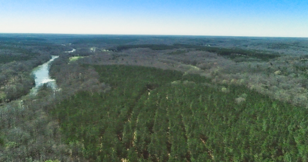 Horseshoe Road & Brooks Rd, Honea Path, SC à vendre - Photo principale - Image 1 de 1