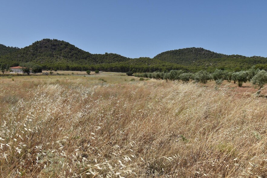 Land in Padul for sale - Aerial - Image 2 of 4