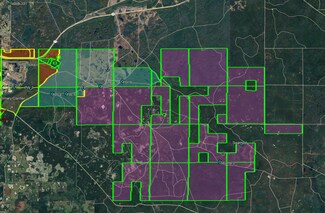 More details for New Connell Grade, Perry, FL - Land for Sale