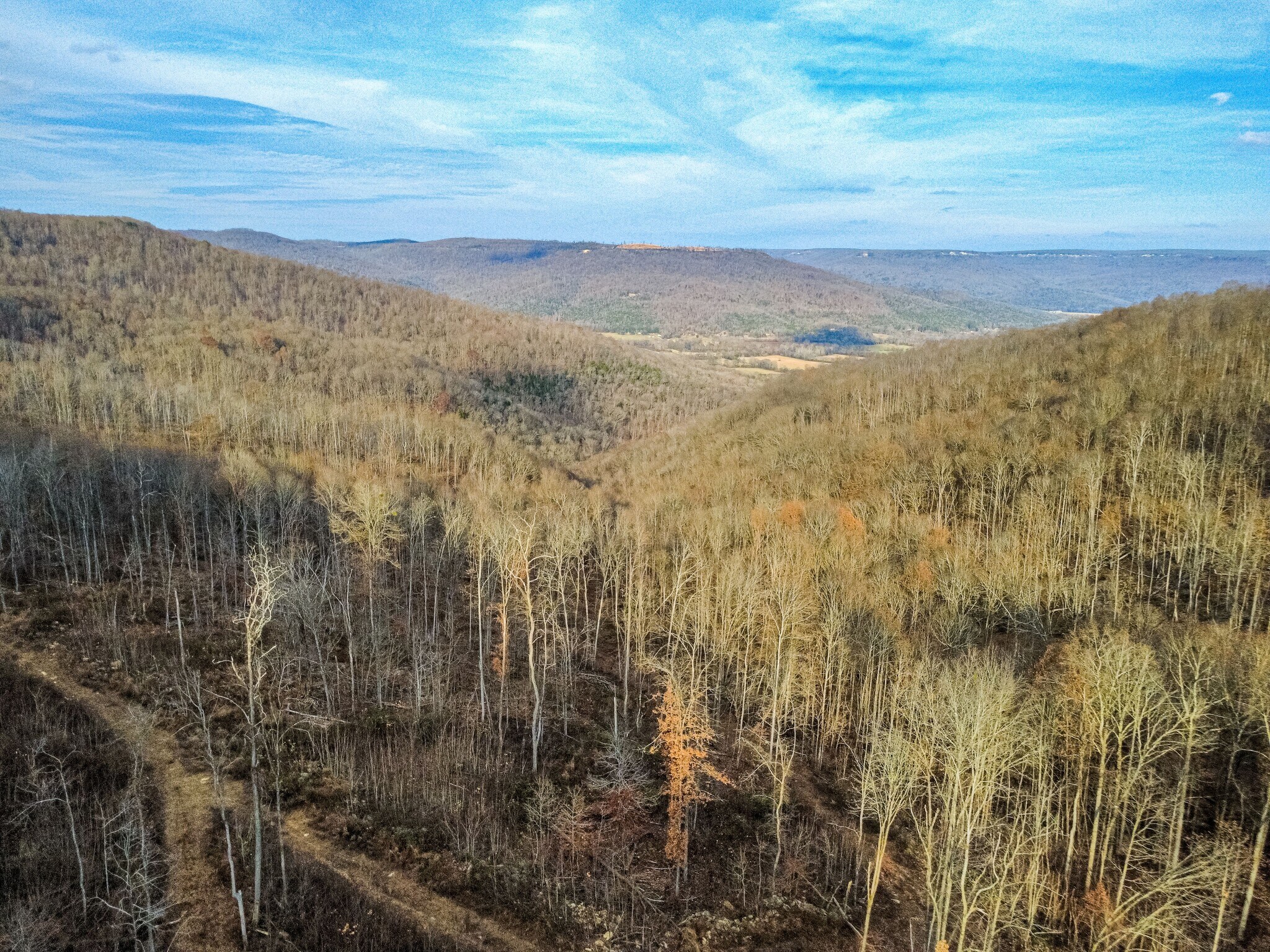 126 Bolton Point Rd, South Pittsburg, TN for sale Primary Photo- Image 1 of 17
