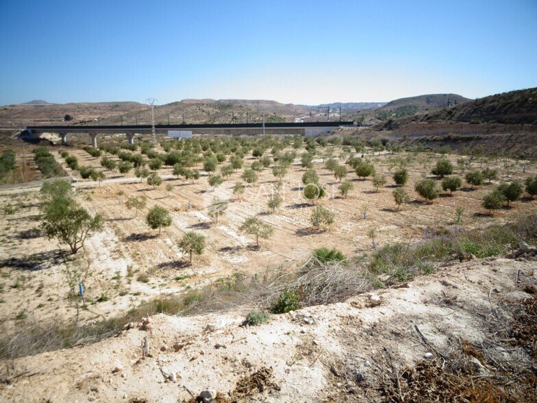 Land in Aspe, Alicante for sale - Site Plan - Image 3 of 11