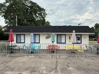 Plus de détails pour 6400 Detroit St, Otter Lake, MI - Commerce de détail à vendre