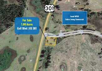 Plus de détails pour Gall Blvd. and Rapid River Blvd., Zephyrhills, FL - Terrain à vendre