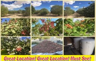 Plus de détails pour 10849 Barstow Rd, Lucerne Valley, CA - Terrain à vendre