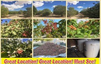 Plus de détails pour 10849 Barstow Rd, Lucerne Valley, CA - Terrain à vendre