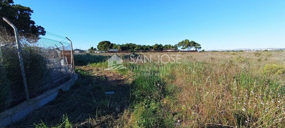 Land in Elche for sale - Building Photo - Image 2 of 13