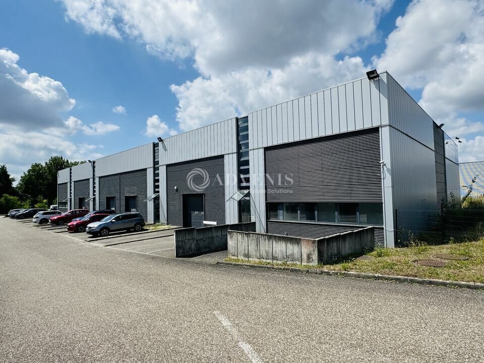 Flex in Mundolsheim for lease Building Photo- Image 1 of 6