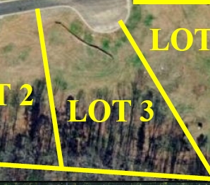 More details for Francis Way, Sharpsburg, GA - Land for Sale