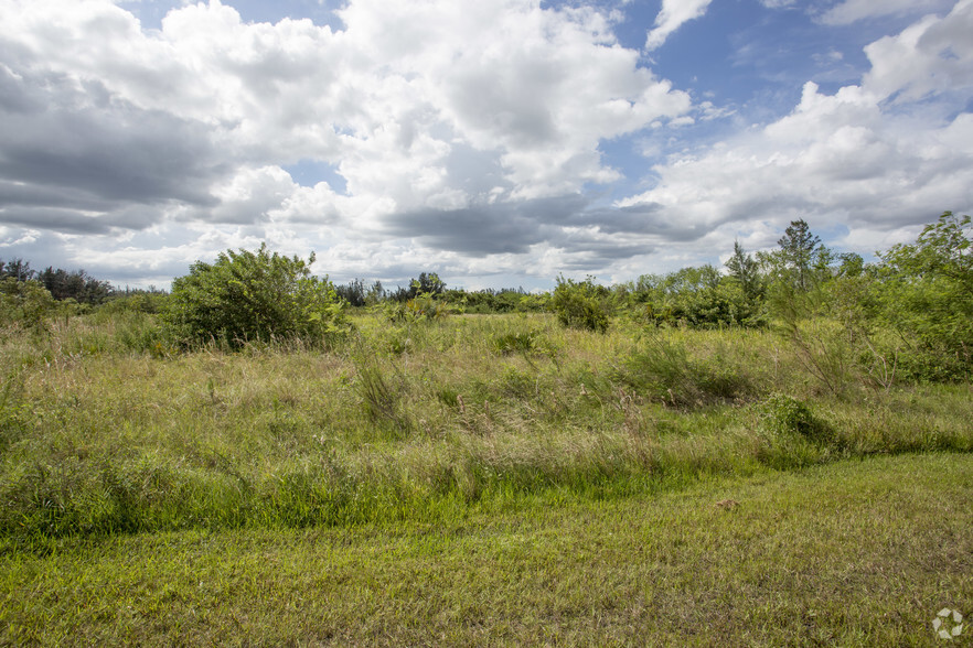 Pine Island Rd, Cape Coral, FL for sale - Primary Photo - Image 3 of 9