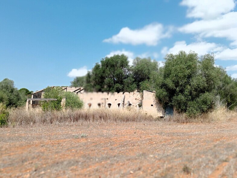 Land in Campos, Islas Baleares for sale - Primary Photo - Image 3 of 15