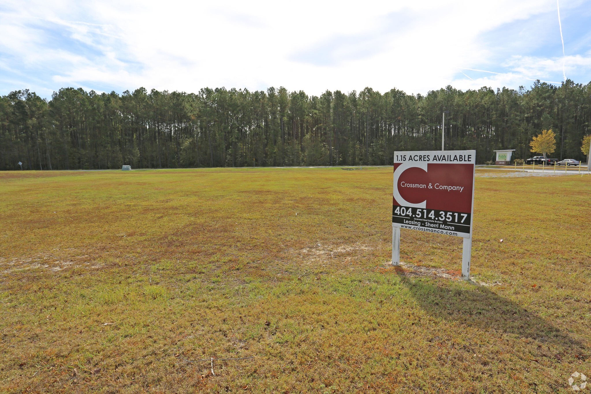 Ga-144 Hwy, Richmond Hill, GA for lease Primary Photo- Image 1 of 3