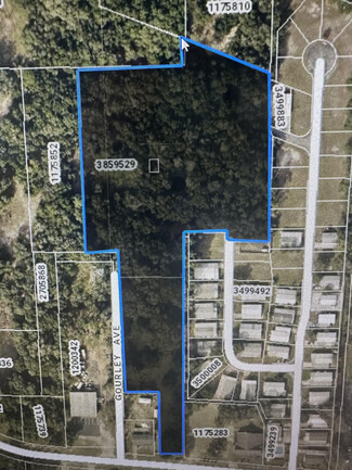 Plus de détails pour 0 GOURLEY, Leesburg, FL - Terrain à vendre