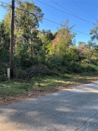 Plus de détails pour County Road 690, Webster, FL - Terrain à vendre