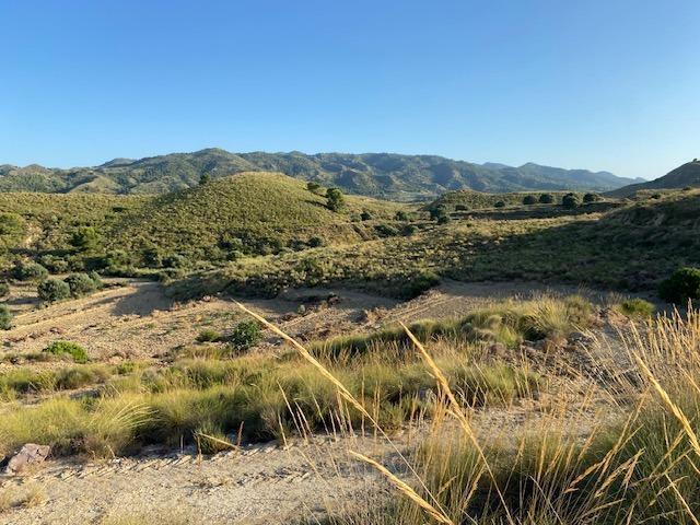 Land in Murcia, Murcia for sale - Aerial - Image 1 of 4