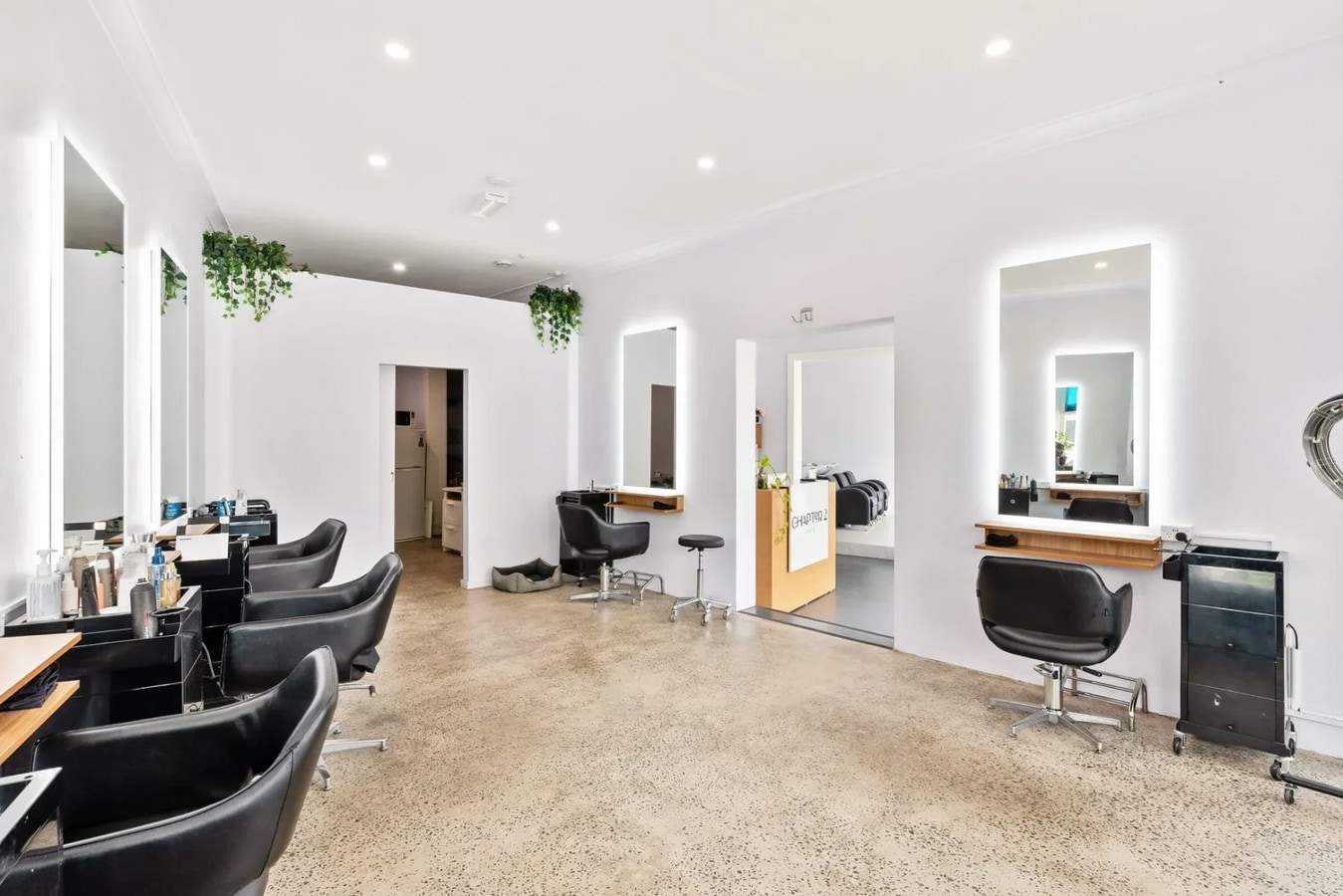 230 Enmore Rd, Enmore Inner West, NSW 2042 - Unité Shop 1 & 2 -  - Photo intérieure - Image 2 of 6