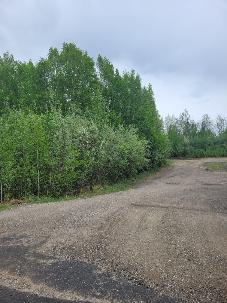 NHN Badger Road, North Pole, AK for sale Primary Photo- Image 1 of 8