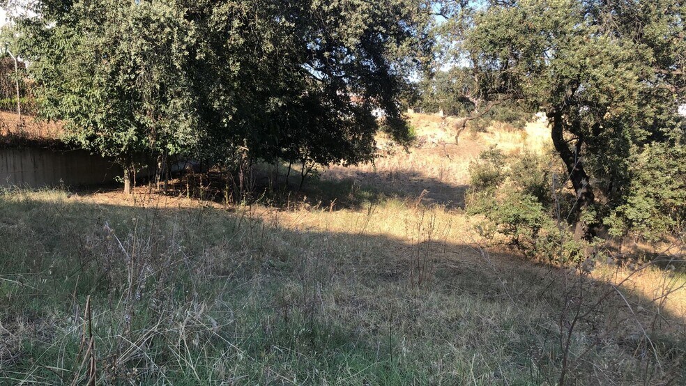 Land in Córdoba, Córdoba for sale - Primary Photo - Image 3 of 7